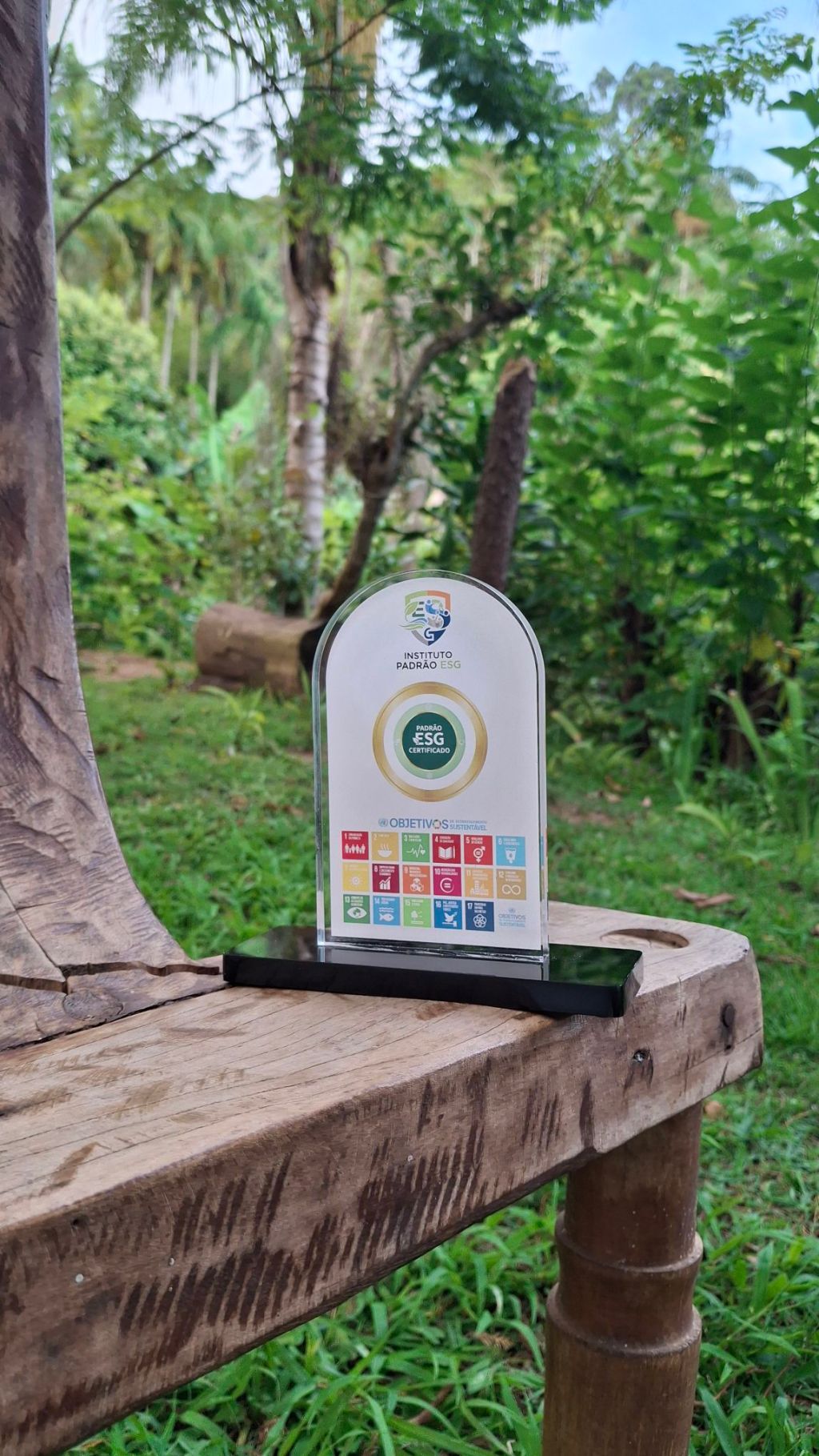 Título: Por que somos uma Associação Sem Fins&nbsp;Lucrativos?